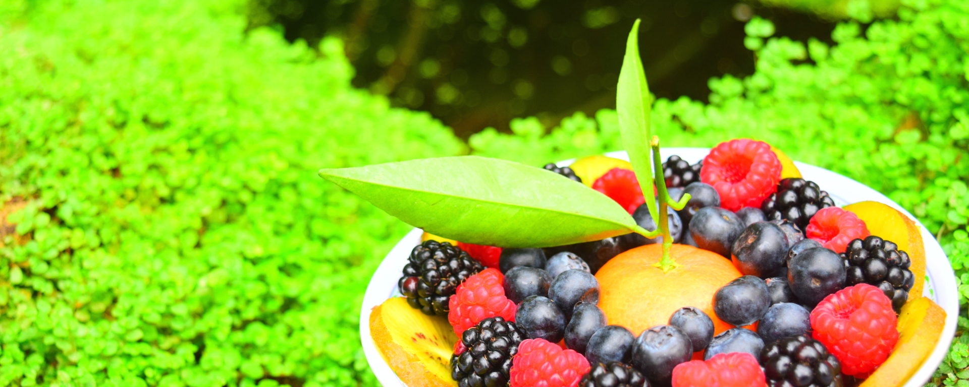 A Nutrition Plan for a Healthy, Happy Future from MyNutriCounter