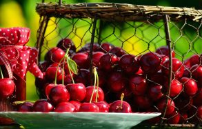 Health Benefits Of Cherries by MyNutriCounter